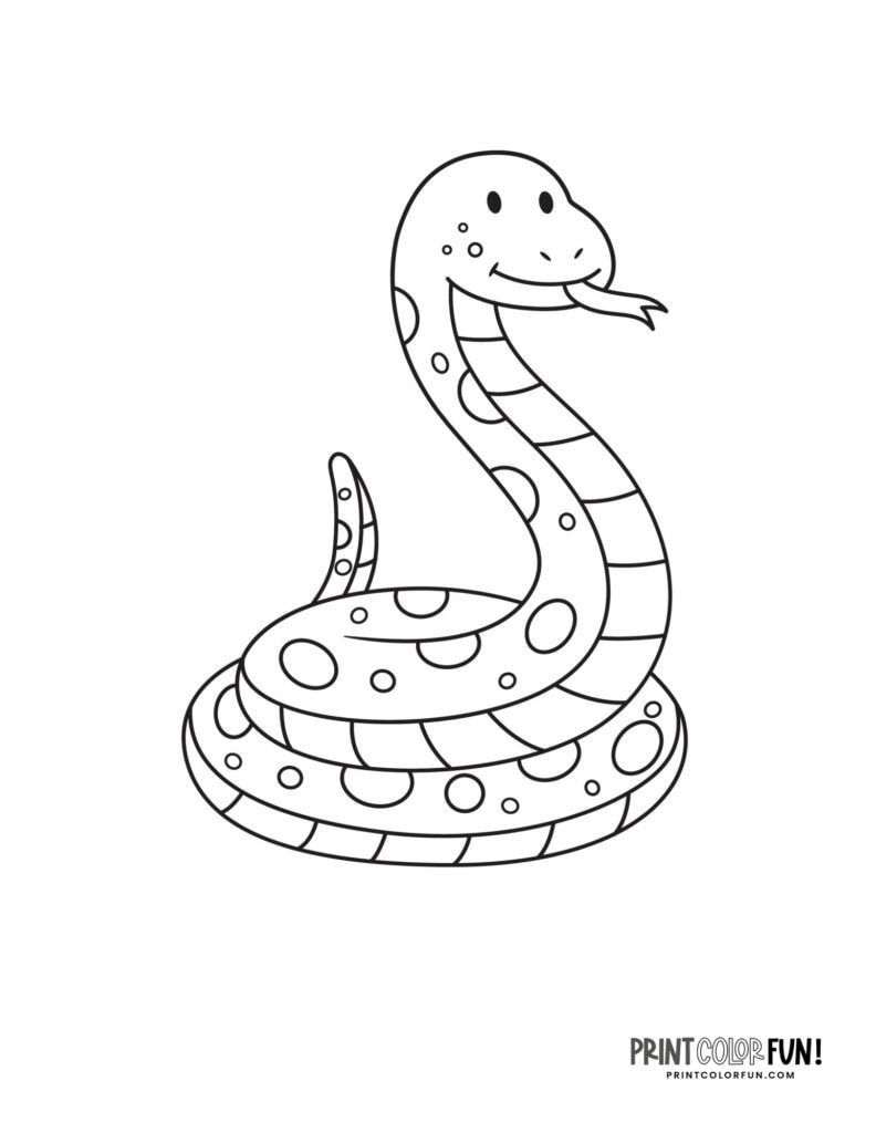 Snake Coloring Pages And Clipart, At Printcolorfun.com