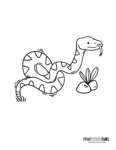 Snake coloring page clipart from PrintColorFun com (07)