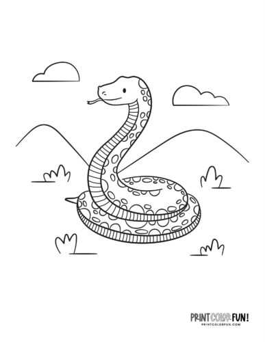 Snake coloring page clipart from PrintColorFun com (08)