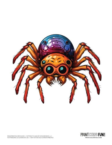 Spider clipart drawing from PrintColorFun com (1)