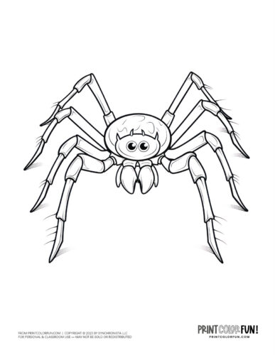Spider coloring page drawing from PrintColorFun com 1
