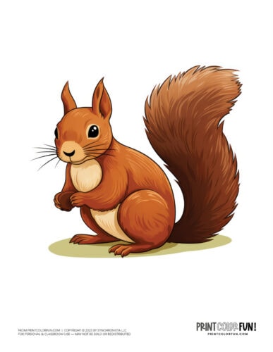 Squirrel with an acorn color clipart from PrintColorFun com (1)