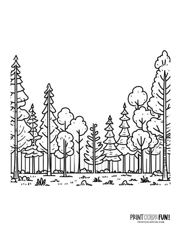 15 Forest clipart & coloring pages: Learning fun with mountains, trees ...