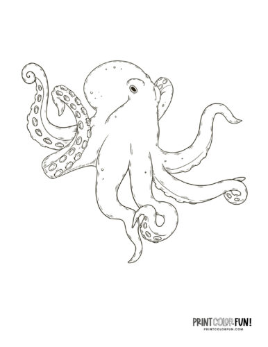 Swimming octopus with tentacles coloring page at PrintColorFun com