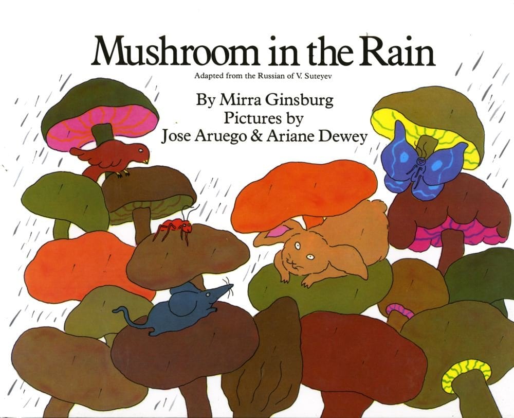 The Mushroom in the Rain book for kids