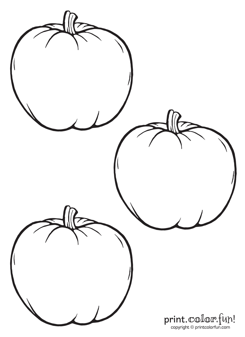 3 Little Pumpkins Coloring Page Print Color Fun 