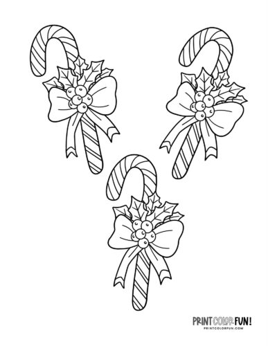 Three candy canes with big bows and holly coloring page at PrintColorFun com