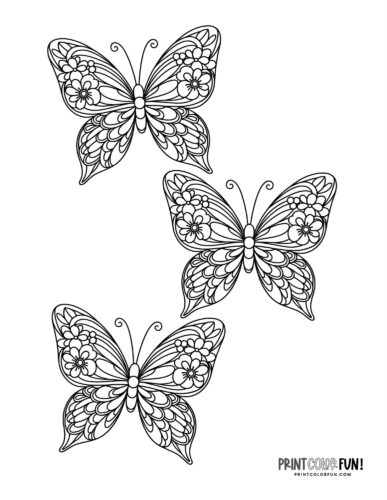 Three floral butterflies coloring page - PrintColorFun com