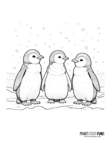 Three penguins coloring page from PrintColorFun com