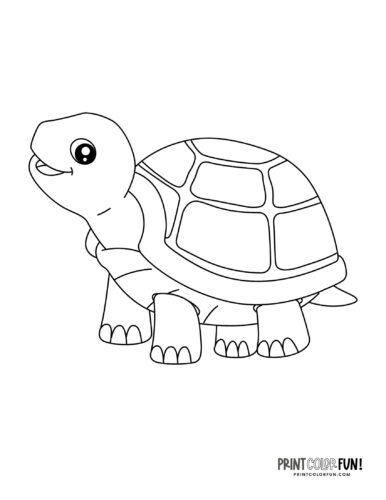 Tortoise coloring page from PrintColorFun com 1