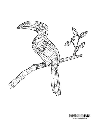 Toucan coloring page clipart from PrintColorFun com 1