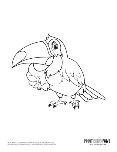 Toucan coloring page clipart from PrintColorFun com 2