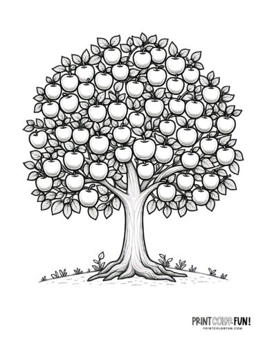 Tree full of apples coloring page at PrintColorFun com