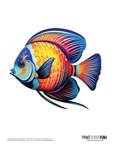 Tropical fish color clipart from PrintColorFun com (1)