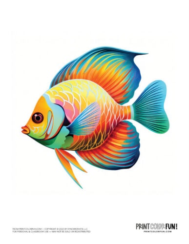 Tropical fish color clipart from PrintColorFun com (2)