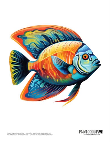 Tropical fish color clipart from PrintColorFun com (3)