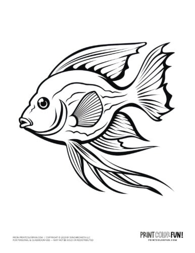 Tropical fish coloring page clipart from PrintColorFun com (03)
