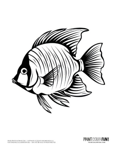 Tropical fish coloring page clipart from PrintColorFun com (05)