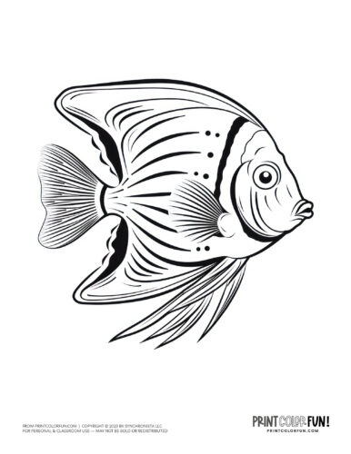 Tropical fish coloring page clipart from PrintColorFun com (08)