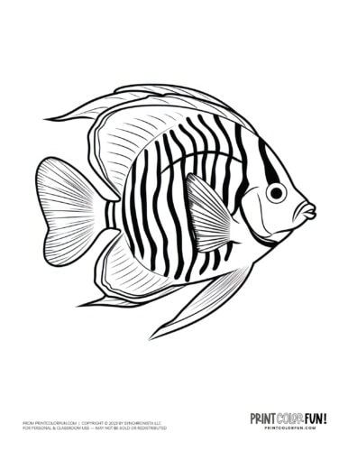 Tropical fish coloring page clipart from PrintColorFun com (11)