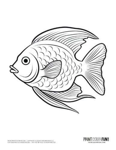 Tropical fish coloring page clipart from PrintColorFun com (13)