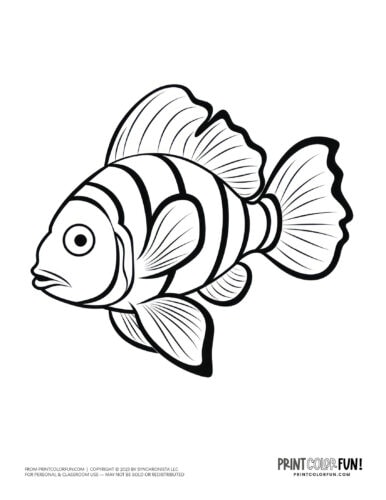 Tropical fish coloring page clipart from PrintColorFun com (16)