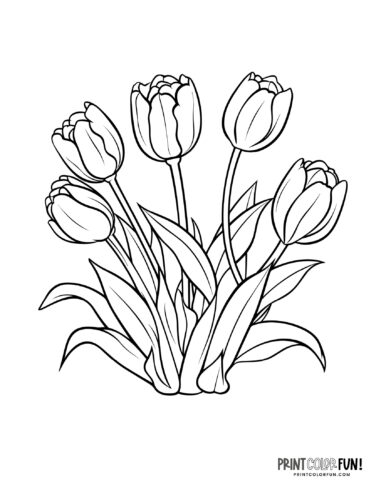 Tulips coloring page at PrintColorFun com from PrintColorFun com