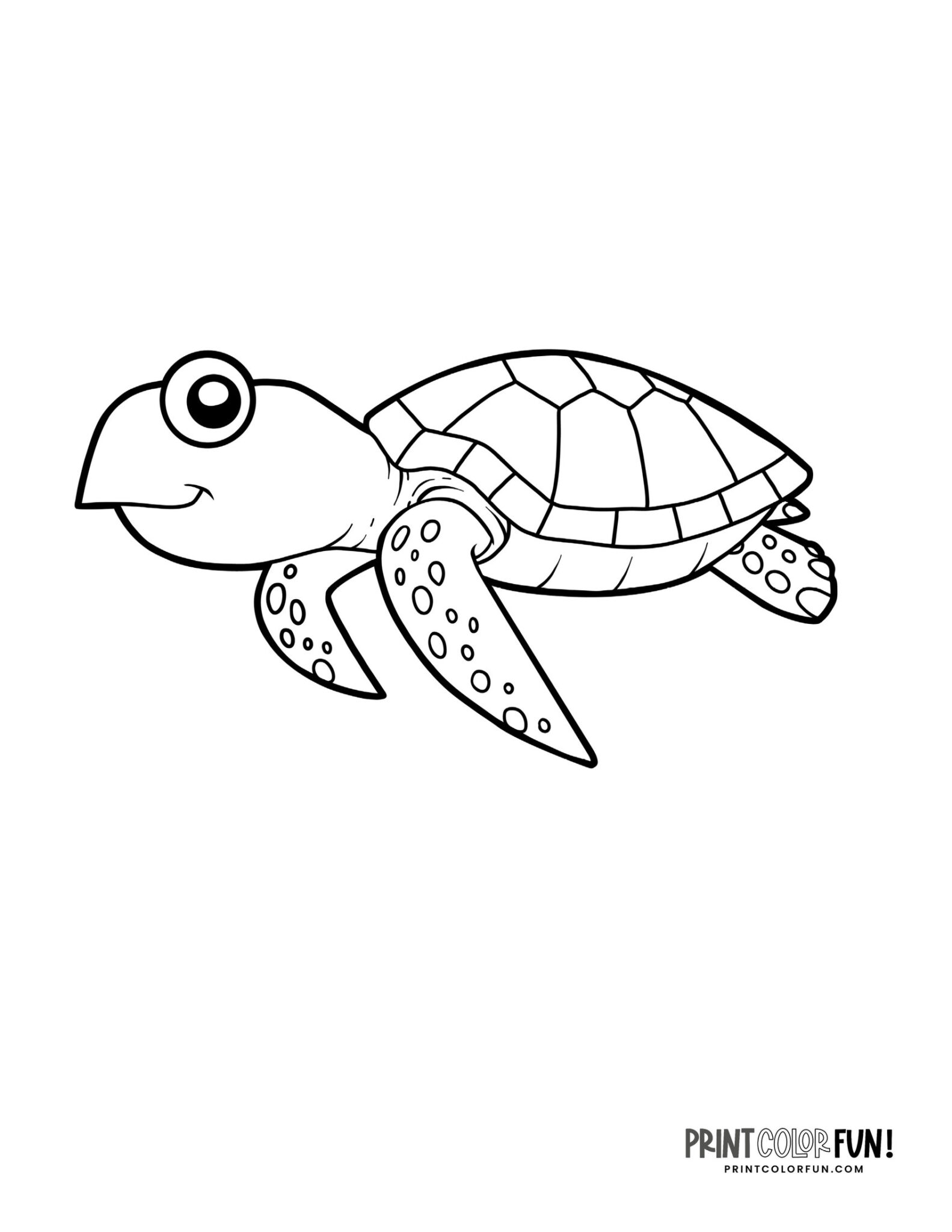 Sea turtle coloring pages & clipart, at PrintColorFun.com