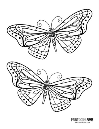 Two butterflies coloring page - PrintColorFun com