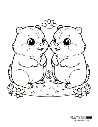 Two cute groundhogs coloring page from PrintColorFun com