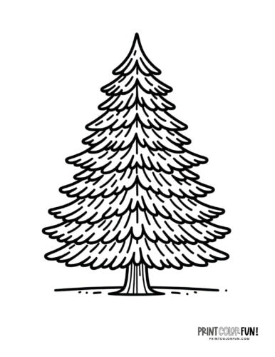 Undecorated Christmas tree coloring page from PrintColorFun com (13)