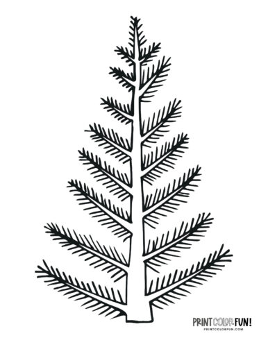 Undecorated Christmas tree coloring page from PrintColorFun com (2)