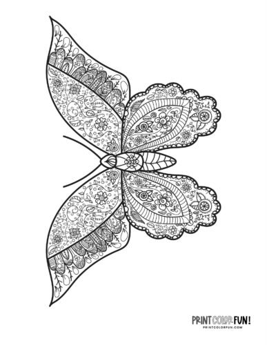 Very detailed butterfly coloring page - PrintColorFun com