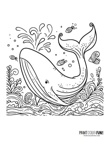 Whale coloring page clipart from PrintColorFun com (1)