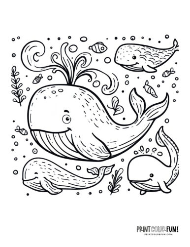 Whale coloring page clipart from PrintColorFun com (2)