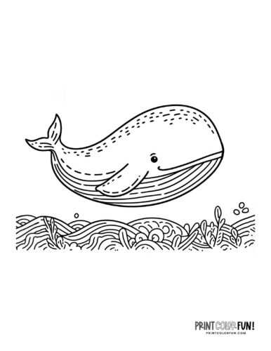Whale coloring page clipart from PrintColorFun com (3)