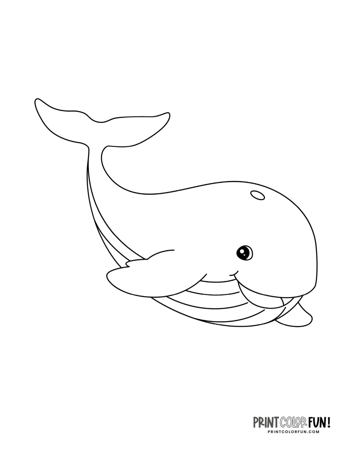 12 whale drawings & clipart: Add a splash of creativity & fun to ...