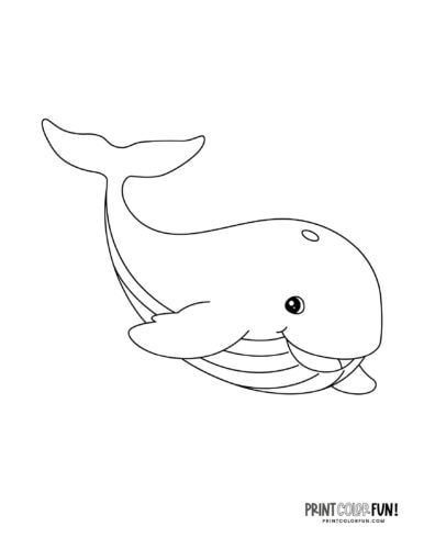 Whale drawing & coloring page clipart from PrintColorFun com (4)