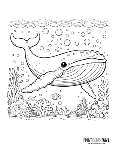 Whale coloring page clipart from PrintColorFun com (7)