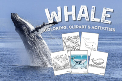 Whales coloring page clipart activities from PrintColorFun com