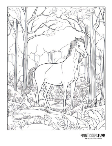 Wild horse (2) coloring page at PrintColorFun com