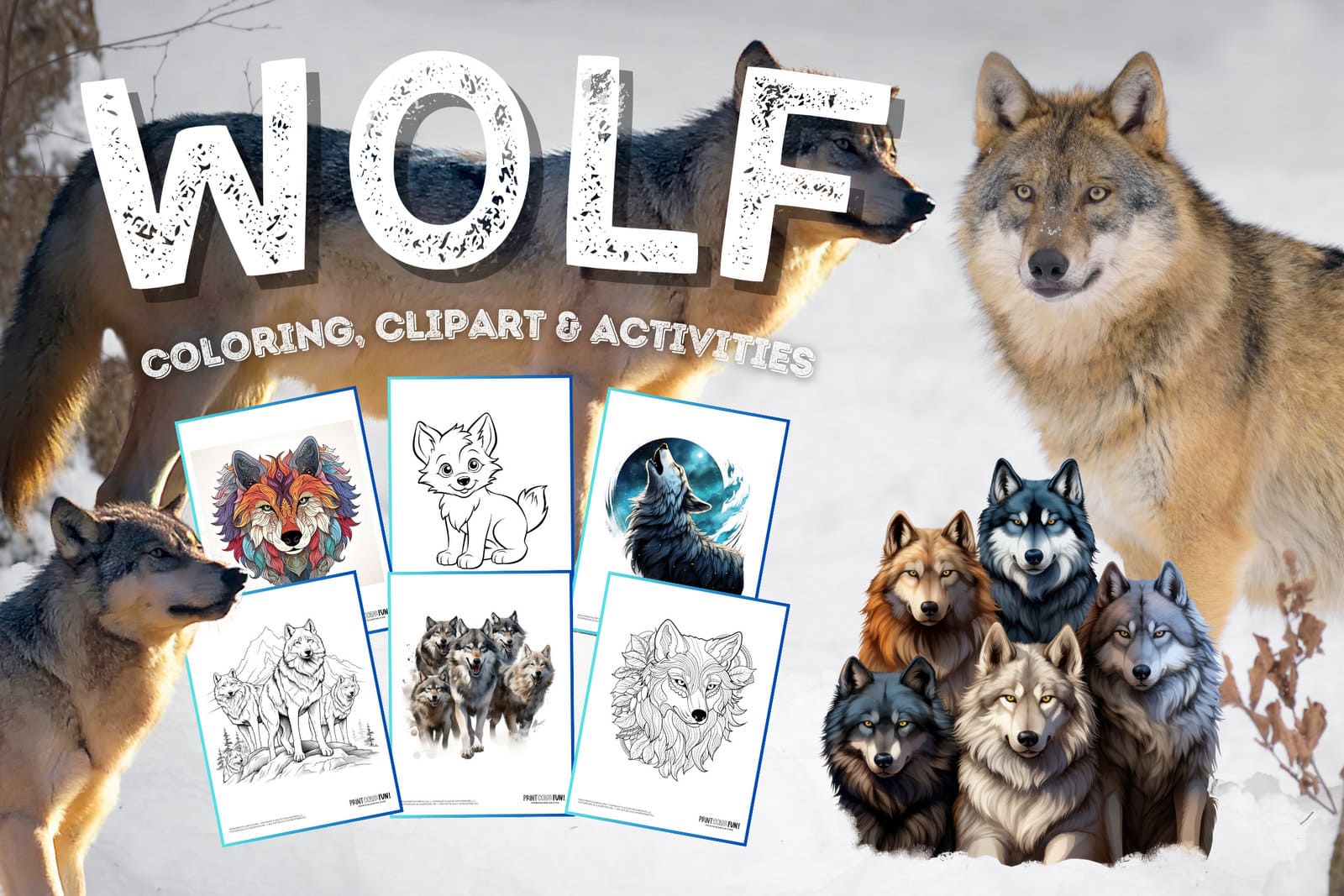 Wolf coloring pages and wolves clipart from PrintColorFun com