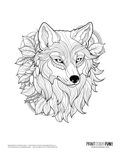 Wolf drawing coloring page from PrintColorFun com (1)