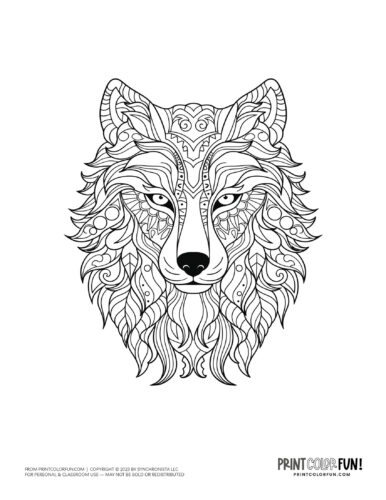 Wolf drawing coloring page from PrintColorFun com (2)