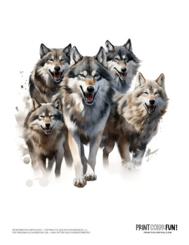 Wolf pack clipart drawing from PrintColorFun com (3)