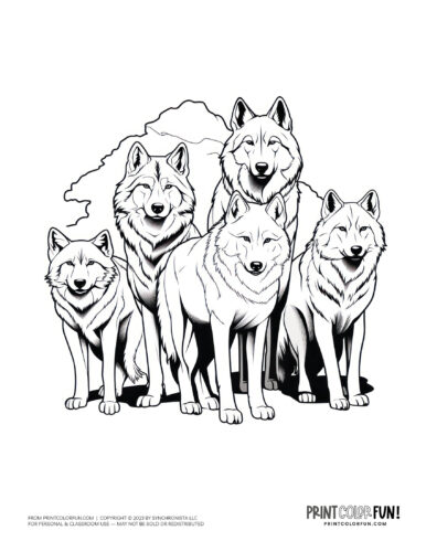 Wolf pack coloring page drawing from PrintColorFun com (1)