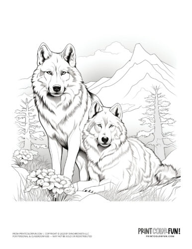 Wolves coloring page clipart from PrintColorFun com (3)