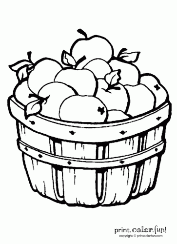 Apples in a barrel