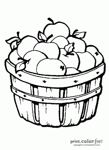 Apples in a barrel coloring page - Print. Color. Fun!