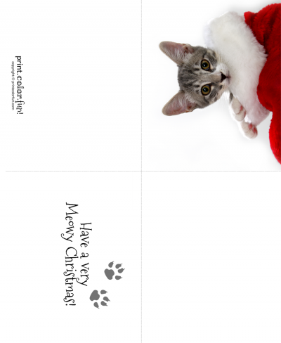 Santa cat Christmas card